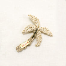 画像をギャラリービューアに読み込む, ヤシの木ブローチ_BYA